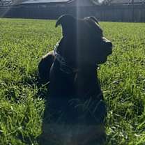 Thumbnail photo of Tucker #1