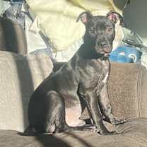 Thumbnail photo of Tucker #4