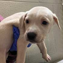 Thumbnail photo of Gumdrop #1