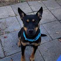 Thumbnail photo of Madison #2