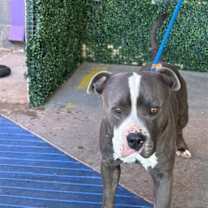 Thumbnail photo of Alfajor* #3