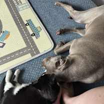 Thumbnail photo of Bear #4