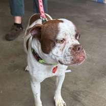 Thumbnail photo of Raven #1