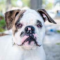 Thumbnail photo of CiCi #1