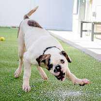 Thumbnail photo of CiCi #3