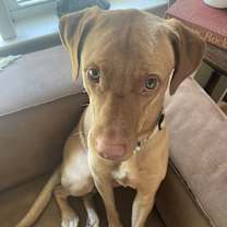 Thumbnail photo of Coda #1