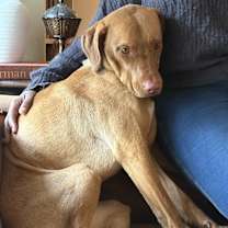 Thumbnail photo of Coda #3