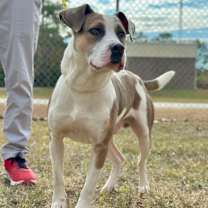 Thumbnail photo of Trooper #3