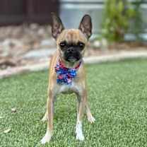 Thumbnail photo of Kai #1