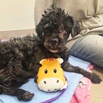 Thumbnail photo of George #1