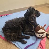 Thumbnail photo of George #2