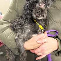 Thumbnail photo of George #3