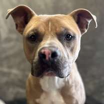 Thumbnail photo of Bart #3