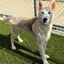 Thumbnail photo of Ponyo #2