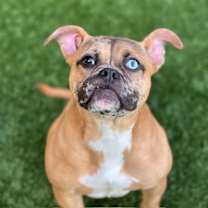 Thumbnail photo of Butternut #2