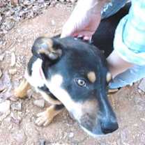 Thumbnail photo of Batman #3