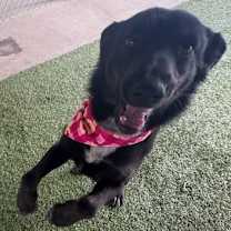 Thumbnail photo of Thankful #3