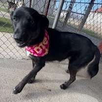 Thumbnail photo of Thankful #4