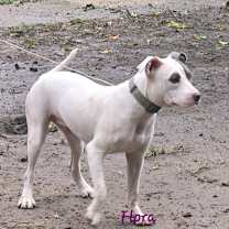 Thumbnail photo of Flora #1