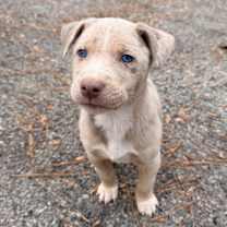 Thumbnail photo of Art #1