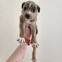 Thumbnail photo of Mike Wazowski #2