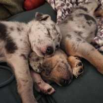 Thumbnail photo of Mike Wazowski #3