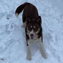 Thumbnail photo of Summit #3