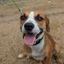 Thumbnail photo of Amber Marie Coldnose #1