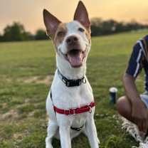 Thumbnail photo of Luke #1