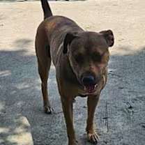 Thumbnail photo of Truly #2