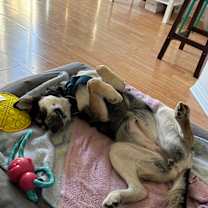 Thumbnail photo of Wendy #3