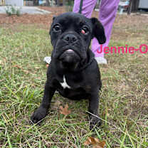 Thumbnail photo of JENNIE O #1