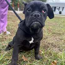 Thumbnail photo of JENNIE O #2