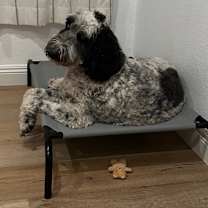 Thumbnail photo of Sally #1