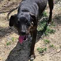 Thumbnail photo of Wasabi #2