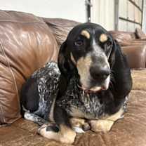 Thumbnail photo of Delilah Rose #1