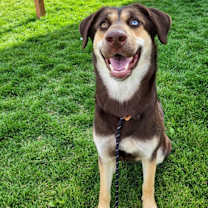 Thumbnail photo of Addie 45305 #1