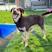 Thumbnail photo of Addie 45305 #2