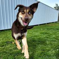 Thumbnail photo of Addie 45305 #3