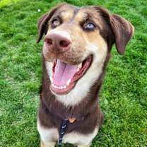 Thumbnail photo of Addie 45305 #4