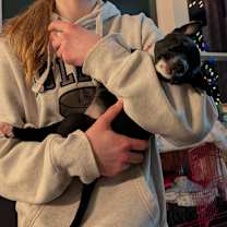 Thumbnail photo of Soccer #3