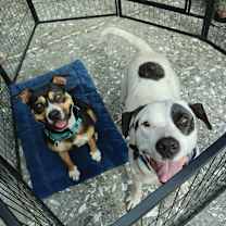 Thumbnail photo of Councilman Jamm #1