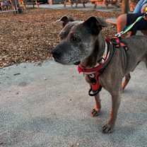 Thumbnail photo of Harold  #3