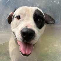 Thumbnail photo of Councilman Jamm #2