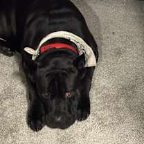 Thumbnail photo of Roman #4