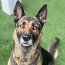 Thumbnail photo of Mila #2