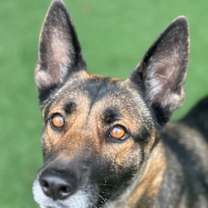 Thumbnail photo of Mila #3