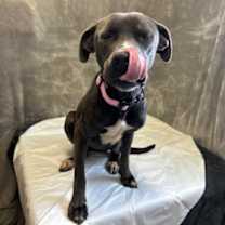 Thumbnail photo of Helen #3