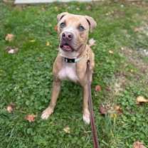 Thumbnail photo of River #1