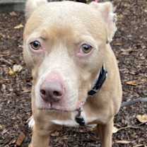 Thumbnail photo of Grover #2